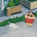 롯데애견 이미지