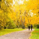 동화스토리 이미지