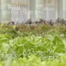 벤처농장