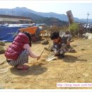 수지면 마륜마을 이미지