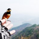 재롱이네 이미지