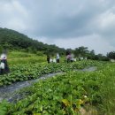 삼향북초등학교 이미지