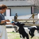 대로목장 이미지