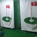 비타민 스크린골프 이미지