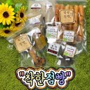 댕댕이냥냥 이미지