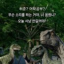 헤실헤실