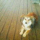 청평옆집언니 이미지