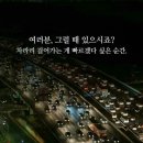 [2022년 6월 17일(음:5월 19일일출 5시 10분.일몰19시 55분]고성 하늬라벤더팜 "라벤더" 축제가 열린다지요 이미지