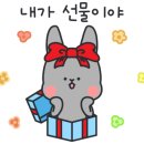 씨더메종 이미지