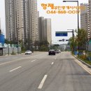 도담동_양지중학교 맞은편 네이버블로그