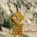 횡단보도 표지판 이미지