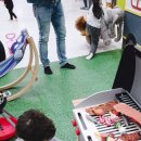 포레스트엘피