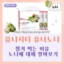 유니어린이집 | 유니시티 노니 후기｜유니노니를 꾸준히 챙겨 먹는 이유와 노니에 대해 알아보기