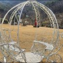 토브하르 이미지