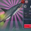 원더피싱 이미지