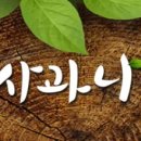 사과나무 이사