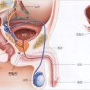 서울수비뇨의학과의원 이미지