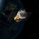 CW-1207-01 라이브라이언스