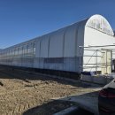 은혜과일 이미지