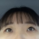 옥정동 폴리프라자ⅴ | 양주 옥정동 속눈썹 잘하는 곳 레나뷰티 후기-주차가능