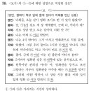 2024 수능 쉬운 언어문제 이미지