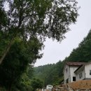 영일공인중개사사무소 이미지