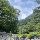 AD646펜션 - 가평군 용추로 508-74 | 용추계곡 갈 때 독채 펜션 추천 가평 AD646