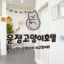 운정고양이호텔 이미지