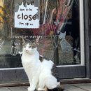 산중가든식당 이미지