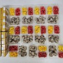 숲속햇살어린이집 이미지