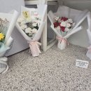 제주가원 이미지