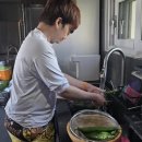 스테이케이션