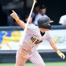 비봉고등학교 이미지