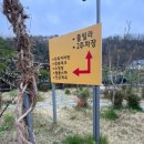 하비리조트 | 청도 대구근교 글램핑 추천 | 애견동반 청도 하비리조트 방문 후기