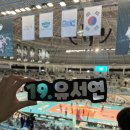 볼사이팅 이미지