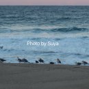 천일건어물 이미지