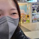 효진토탈패션 | 갑분 작년 12월 일상 대방출