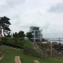 달맞이소공원 네이버블로그