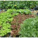 비봉농장 이미지