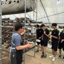 문화농장 이미지