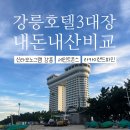 강릉 여행 숙소 호텔 3대장 솔직 비교 위치 추천 내돈내산 후기 🏖️