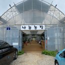 준아농장 | 파주나눔농장, 가성비에 반하다!