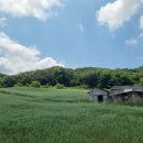 지학농장 이미지