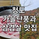 보만장 | 청도 사리암 가을단풍과 맛있는 삼겹살맛집 만장숯불 후기