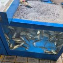 충주농산물종합시장(중앙청과시장) | 경주 중앙시장 주차장 먹거리