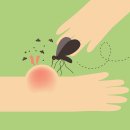 바다동물병원 이미지