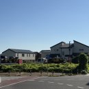 (10/28)수제 쌀 빼빼로쿠키 | 울산 맛집 :: 울산 빼빼로데이 선물하기 좋은 김보람 초콜릿 -울산 생초콜릿