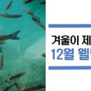 웰빙수산물 이미지