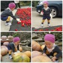 하청농장 이미지