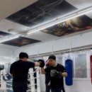 복싱스페이스 중계점 이미지